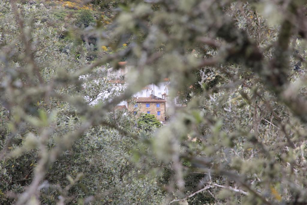 Campus Natura Arganil Exteriör bild